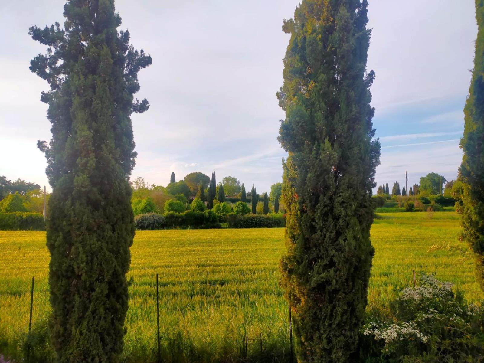 Villetta Con Parco Vicino San Gimignano Colle Val D'Elsa Εξωτερικό φωτογραφία